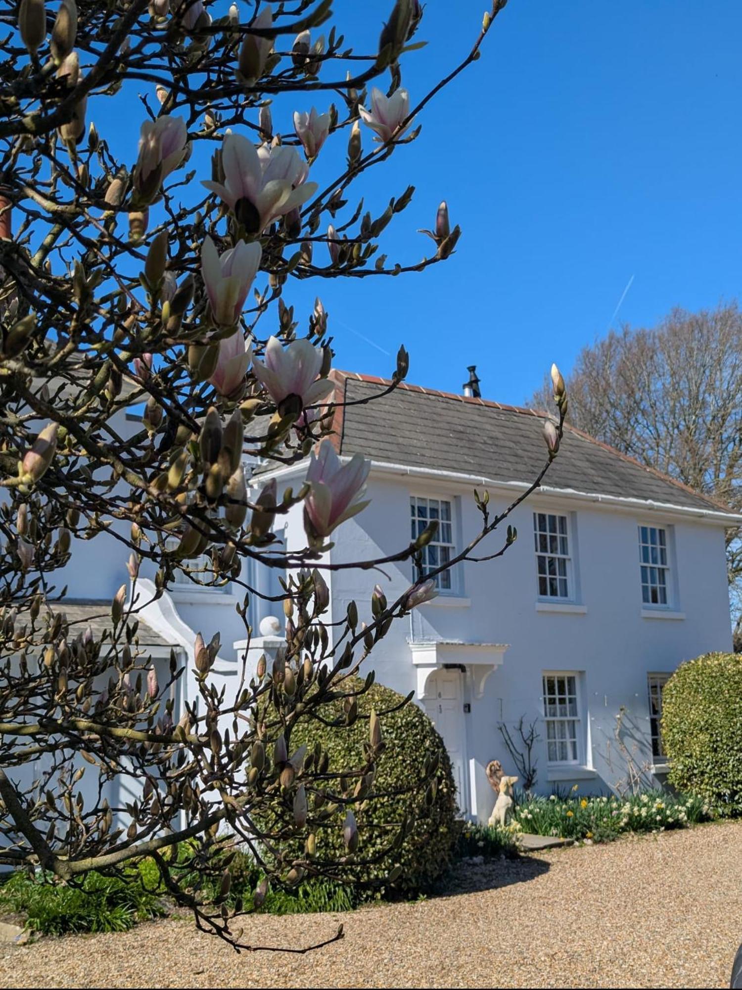 Georgian 2 Bedroom Apartment In Chichester With Free Parking - Chichester Holiday Properties Zewnętrze zdjęcie