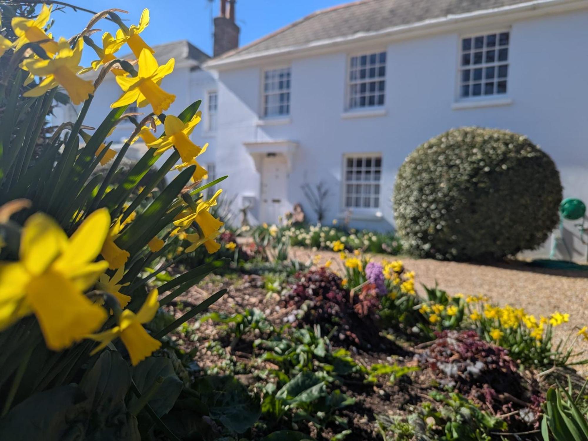 Georgian 2 Bedroom Apartment In Chichester With Free Parking - Chichester Holiday Properties Zewnętrze zdjęcie