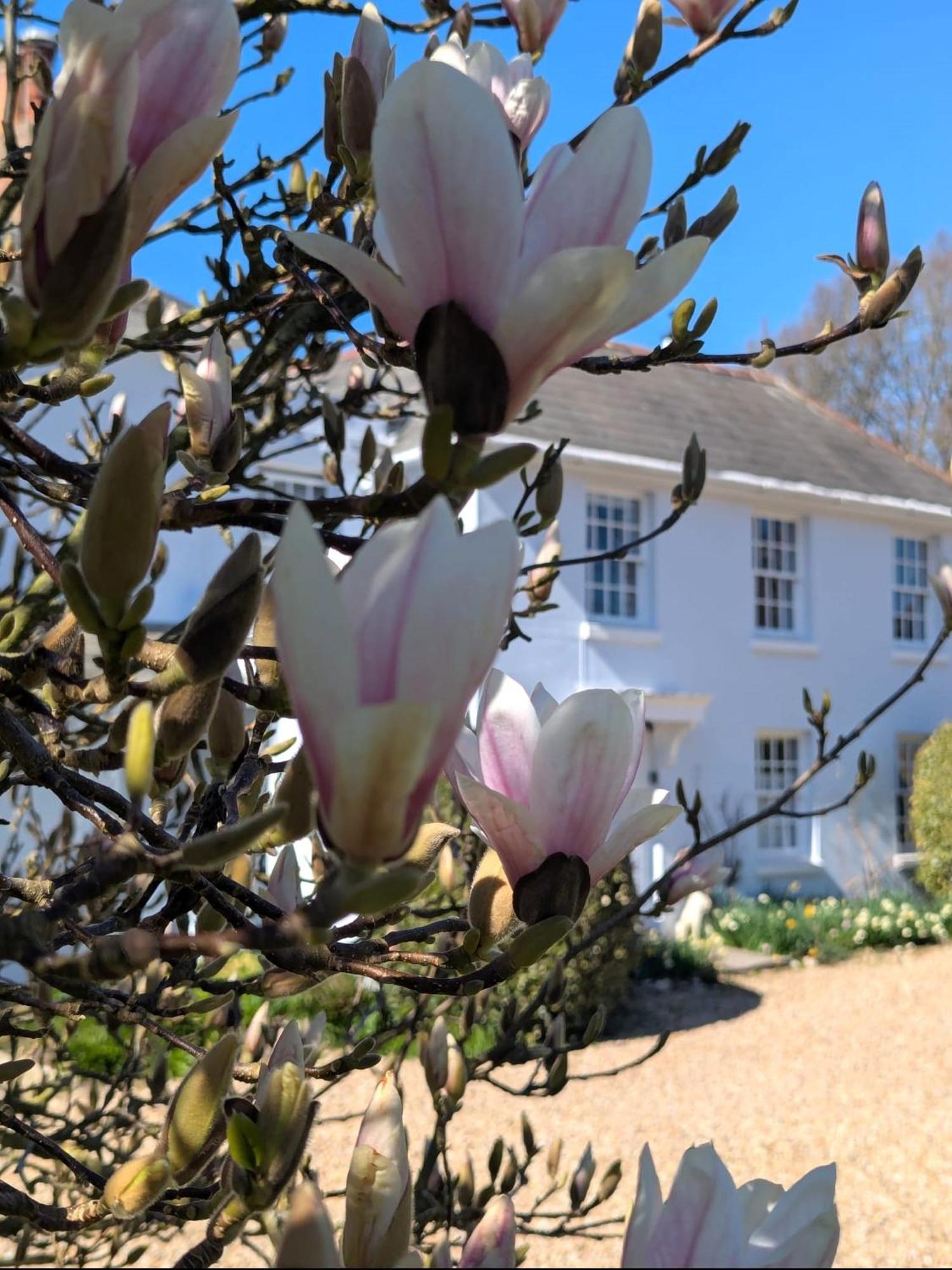 Georgian 2 Bedroom Apartment In Chichester With Free Parking - Chichester Holiday Properties Zewnętrze zdjęcie